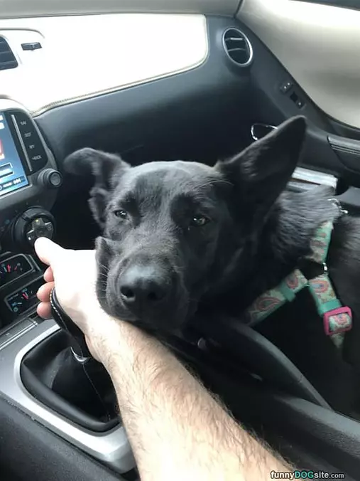 Resting My Head