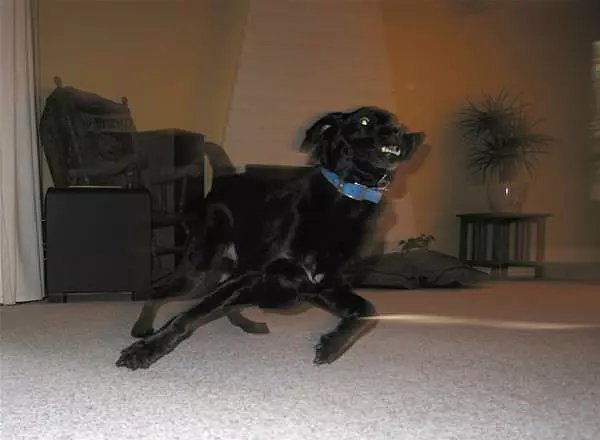 Running Fast