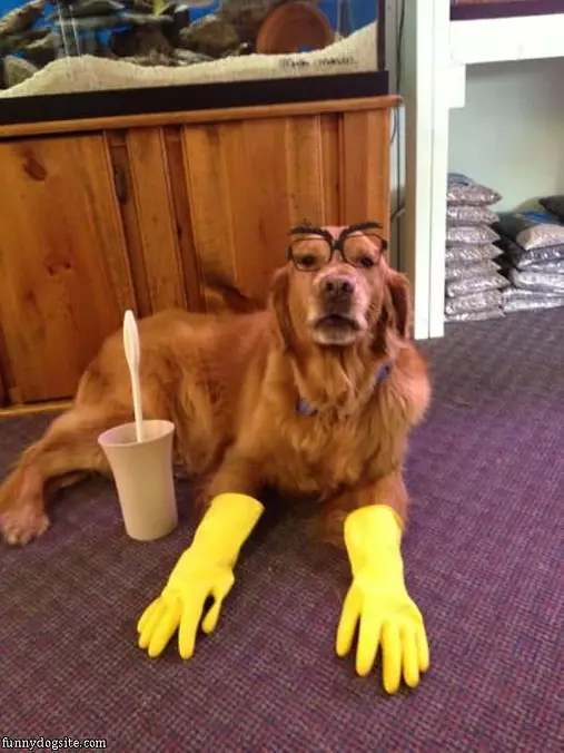 Ready To Clean