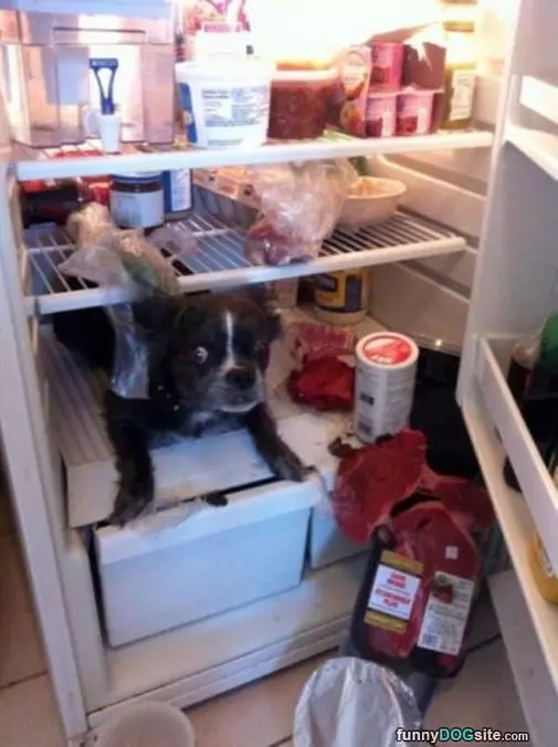 Found The Steaks