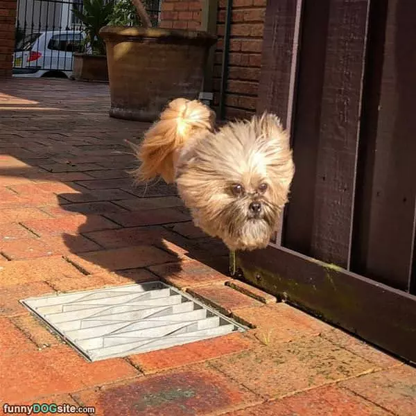 Slightly Windy Day