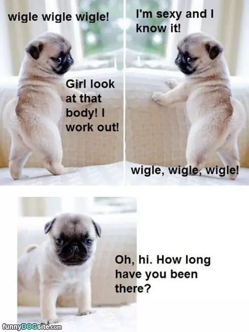 Wigle Wigle