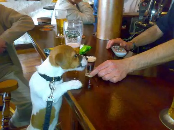 Marco Having A Drink