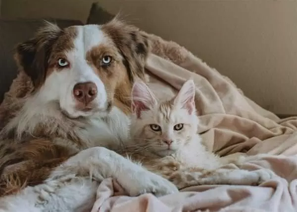 Me And My Friend