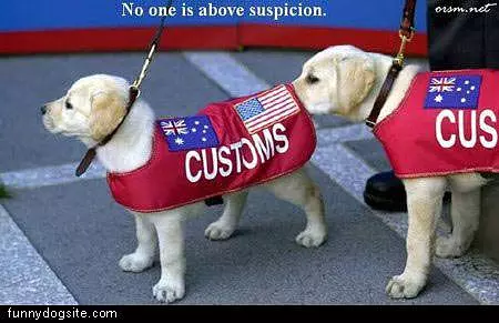 Customs