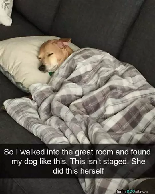 So Sleepy