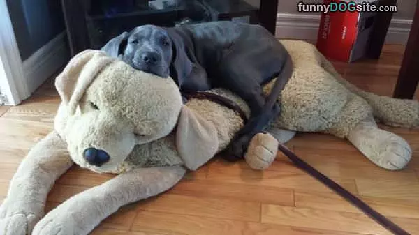 This Great Bed