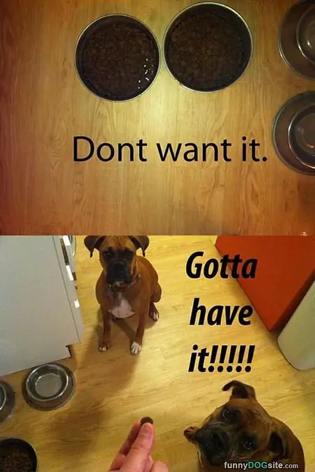 Gotta Have It