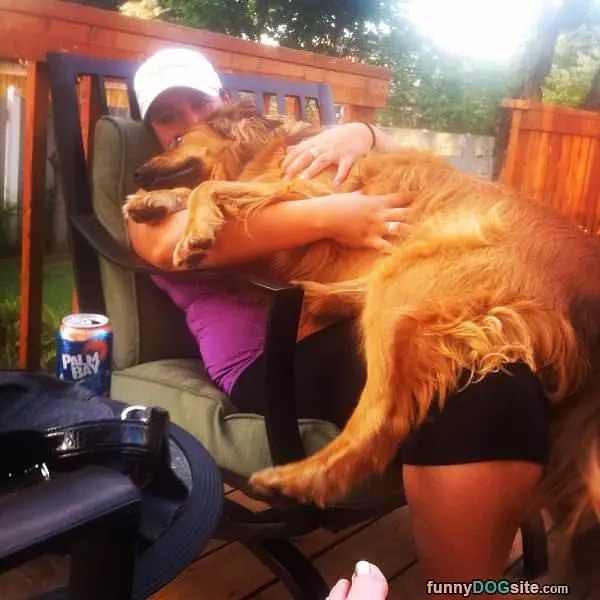 I Am A Lap Dog