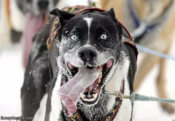 Loves Running