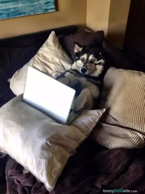 Surfing The Web