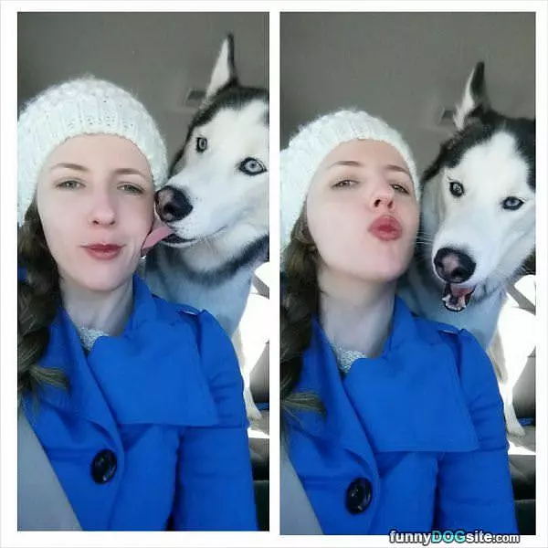 Kisses