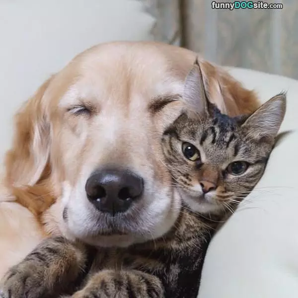 Keeping Me Warm