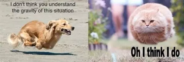 Dont Understand