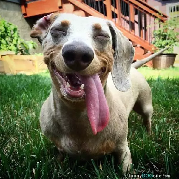 Very Long Tongue