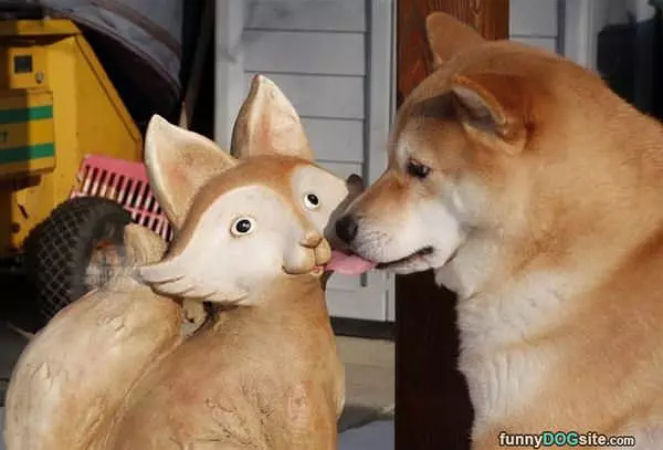 I Will Kiss It