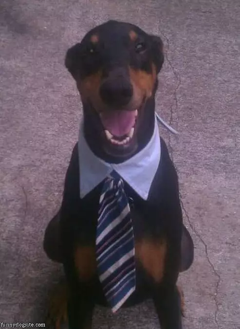 Ready For Work