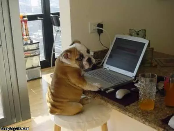 Laptop