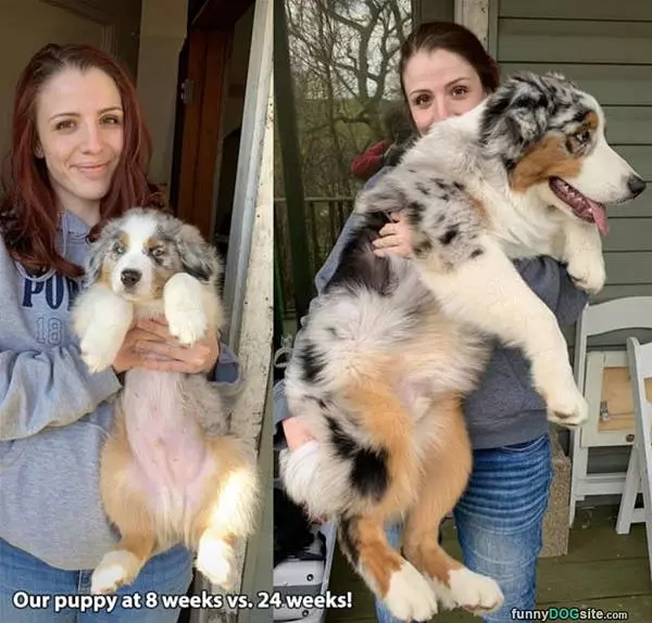 Growing Up
