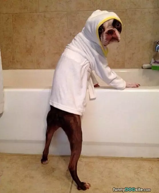 Sup Dog