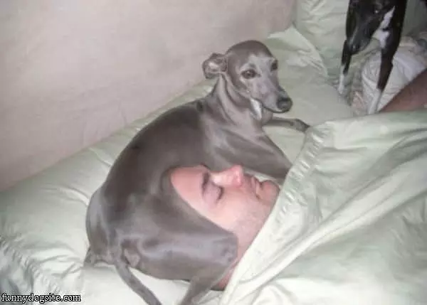 Keeping Your Head Warm