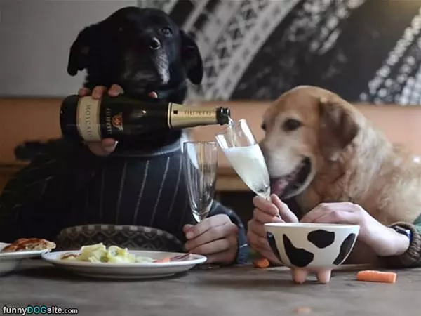 A Toast