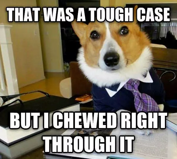 The Tough Case