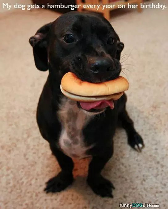Birthday Burgers
