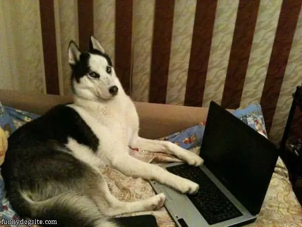 Going On Thed Internet