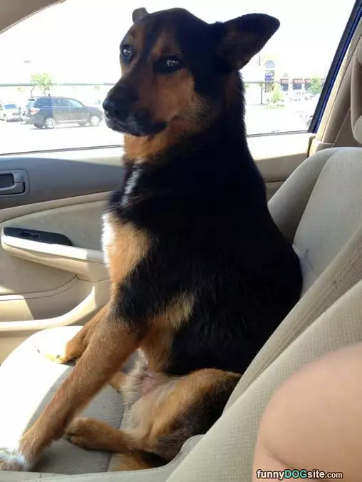 Cmon I Want To Drive