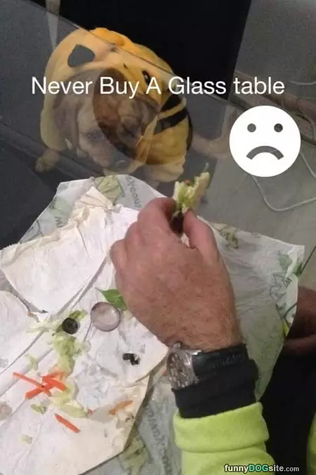 Glass Table