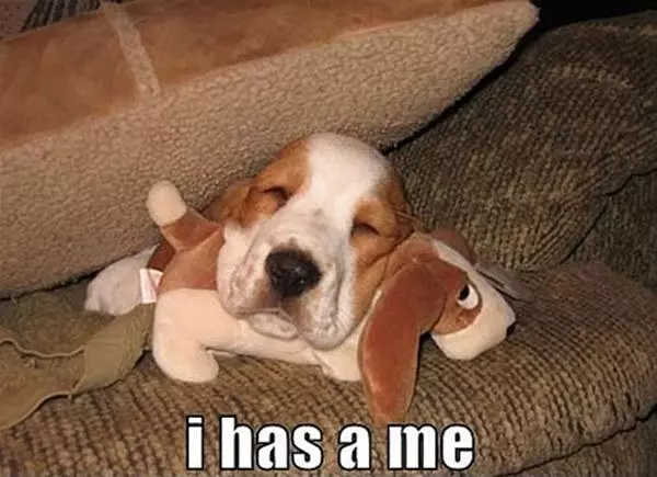 I Has A Me