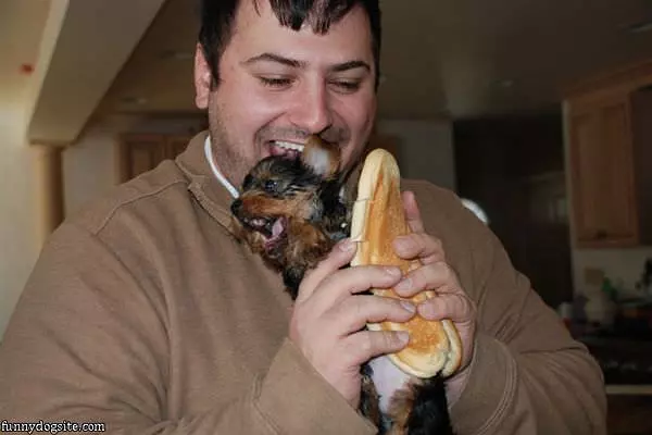 Nom Nom Nom Hotdog