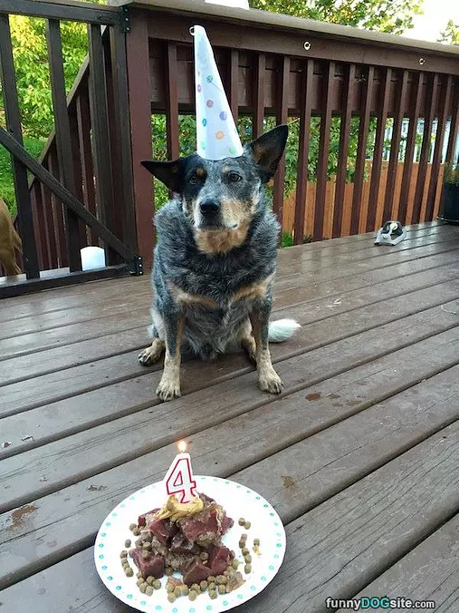4th Birthday