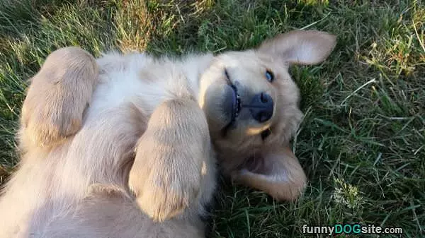 Do I Look Cute Enough