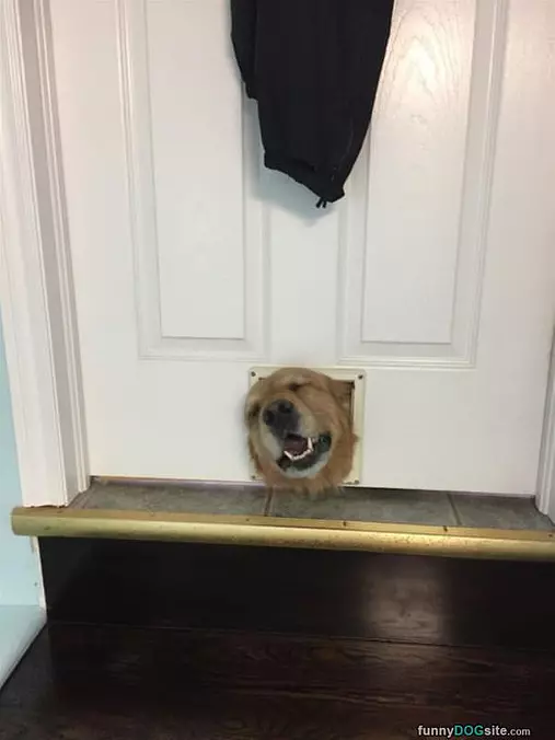 Hiiiiiiiii Everyone