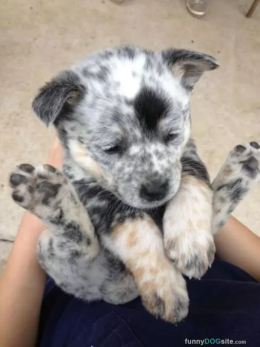 I Sits Like This