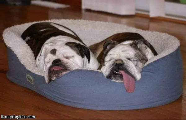Sleep How We Want