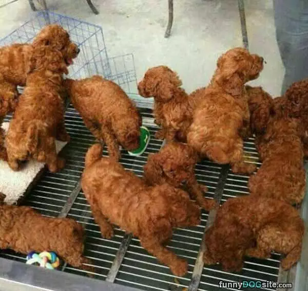 All Look Exactly The Same