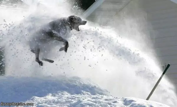 Eating All The Snow