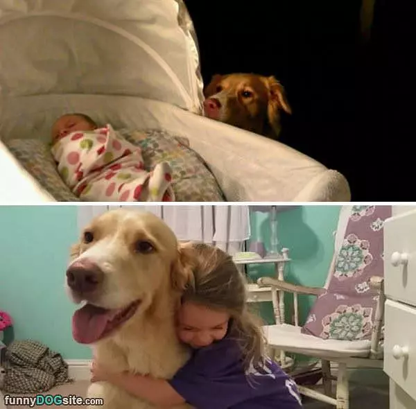 Such Huggies