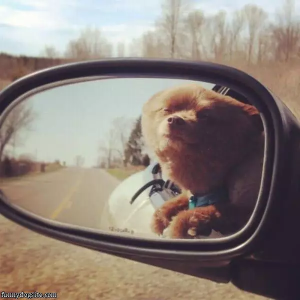 Nice And Windy Day