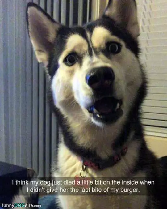 Not Even One Bite