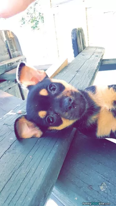Heyyyyyyyy