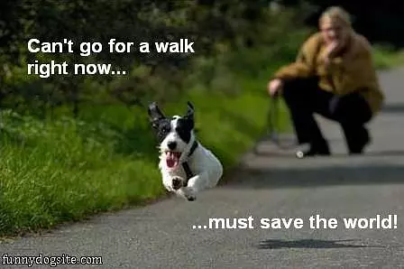 Saving The World