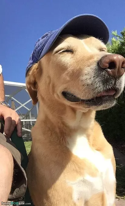 Soooo Sunny