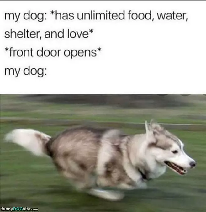 Front Door Opens