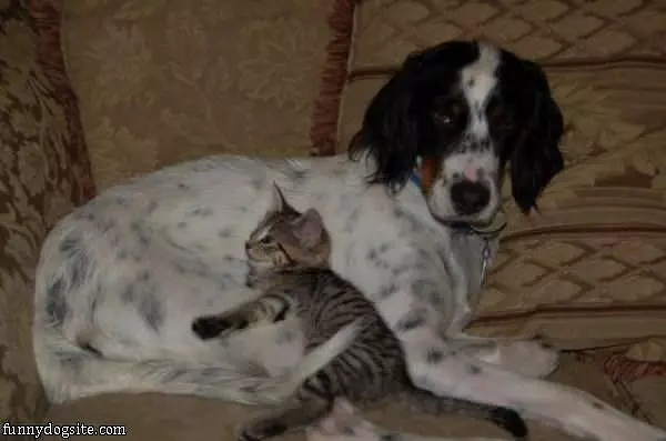 We Are Both Cold