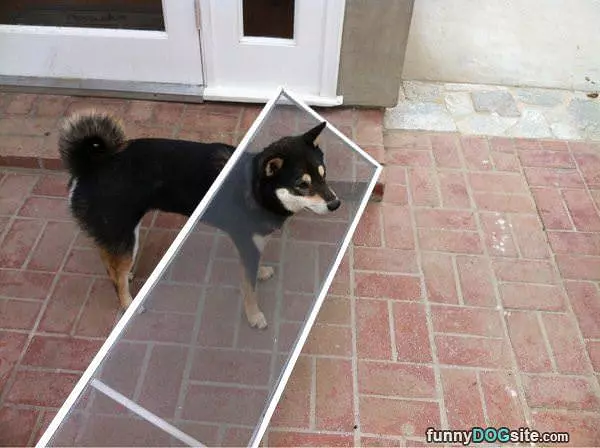 Sorry About That Help Me