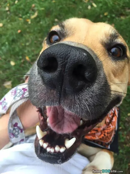 Hey You Got Any Treats